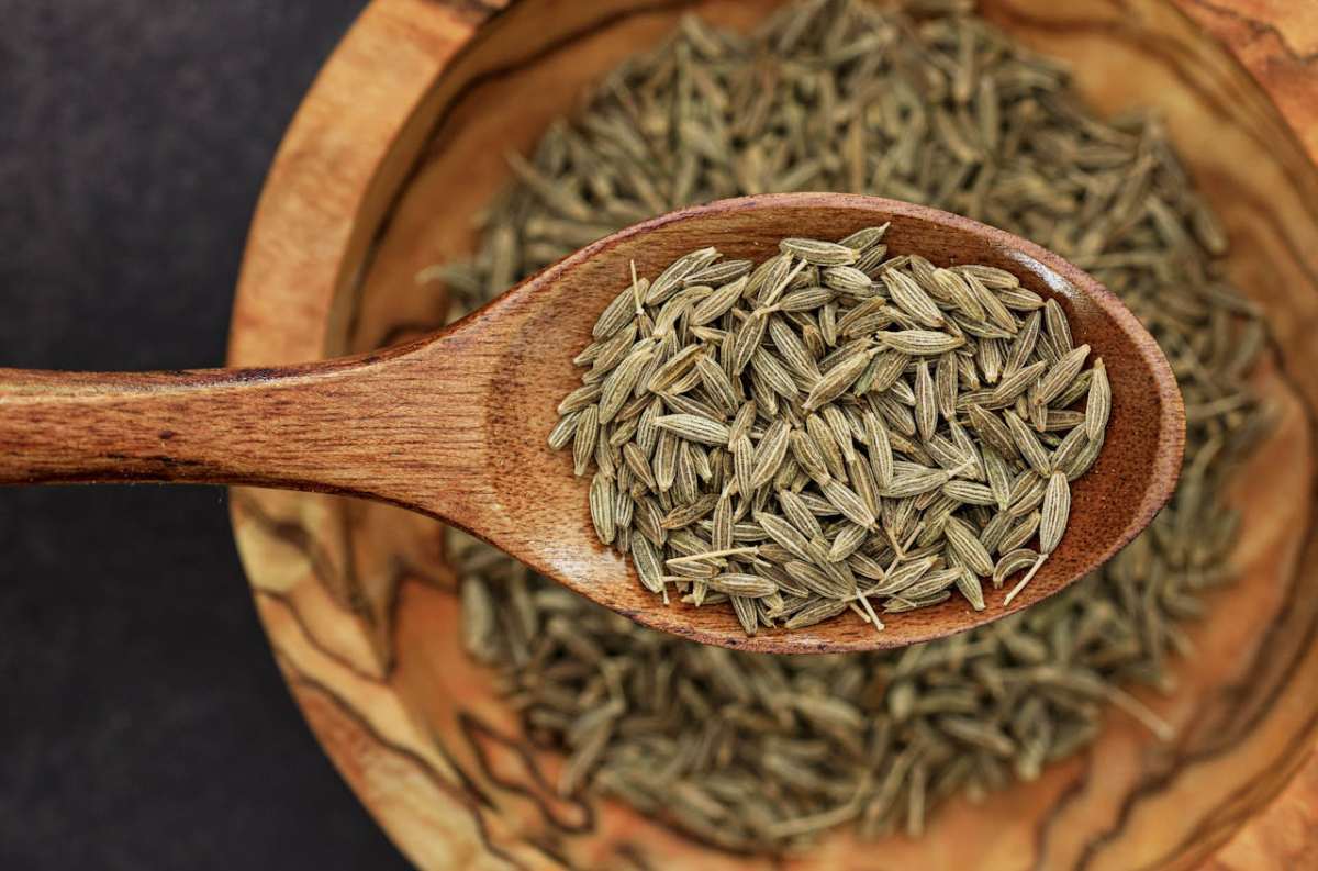 Semi di cumino: benefici, proprietà nutritive e modalità d’uso